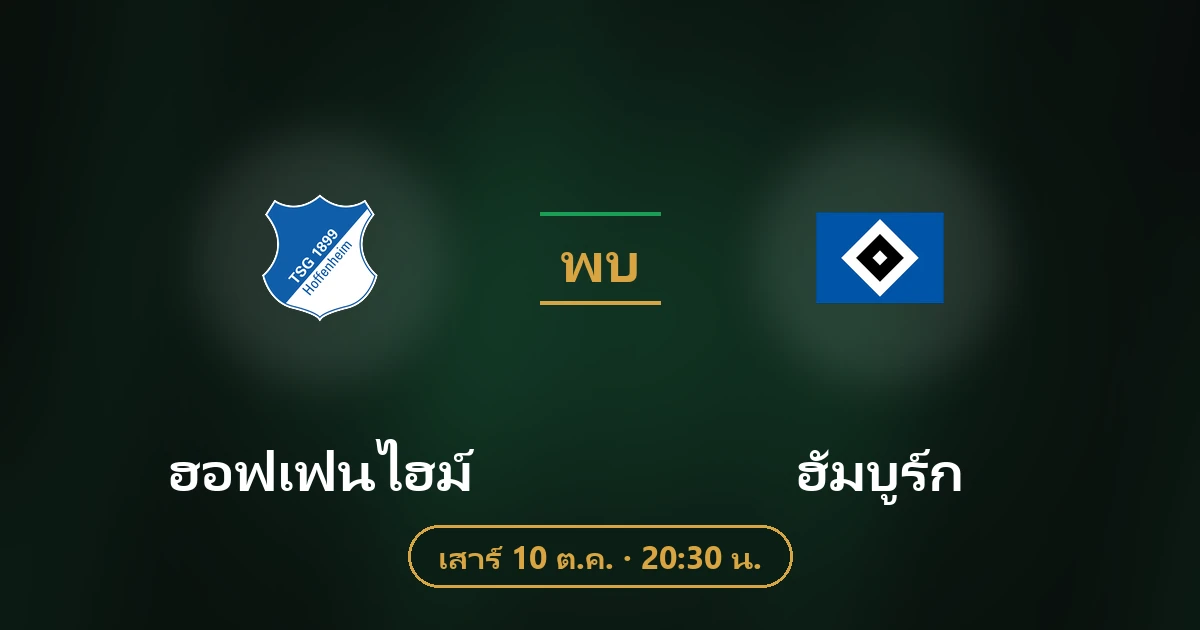 ฮอฟเฟ่นไฮม์ พบ ฮัมบูร์ก