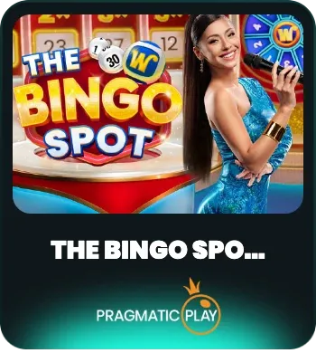 The Bingo Spot